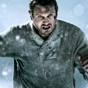 Liam Neeson, The Grey Liam Neeson, The Grey
